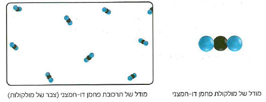 (בספר שתי תמונות, היעזר במנחה)